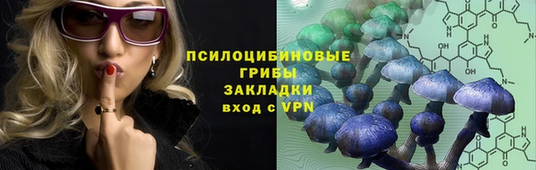 мескалин Дмитриев