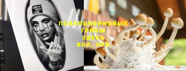 трава Гусь-Хрустальный