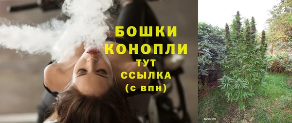 прущие грибы Краснослободск