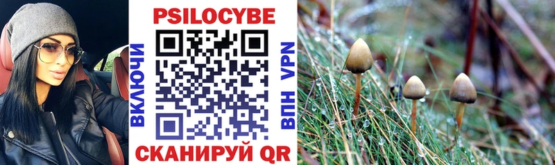 как найти закладки  Дудинка  Галлюциногенные грибы GOLDEN TEACHER 